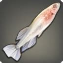 ff14 misty killifish.